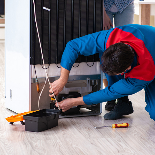 what are the common refrigerator repair services in Bellechester